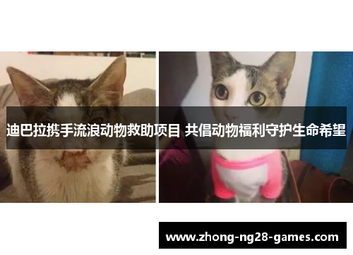 迪巴拉携手流浪动物救助项目 共倡动物福利守护生命希望