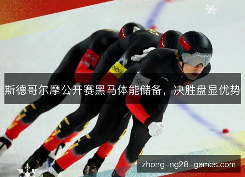 斯德哥尔摩公开赛黑马体能储备，决胜盘显优势