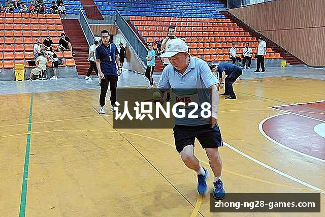 认识NG28